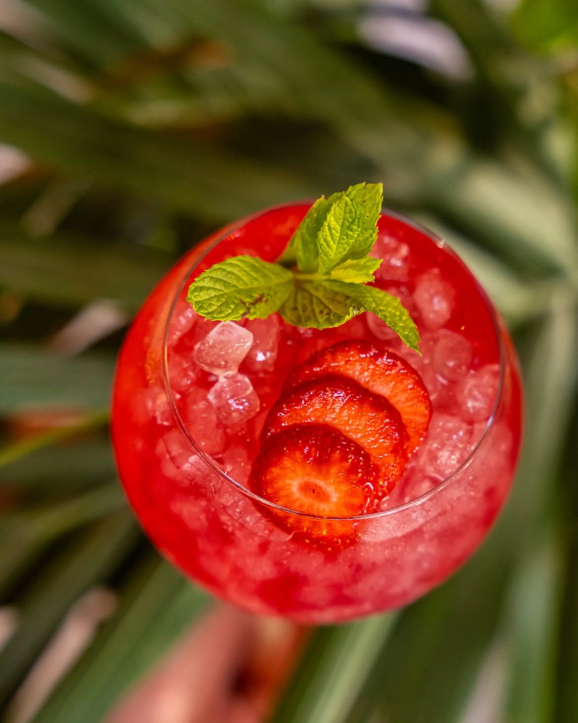 London Sour cocktail — vivid red strawberry sour over crushed ice with fresh strawberry slices and a mint sprig — set among tropical palm leaves